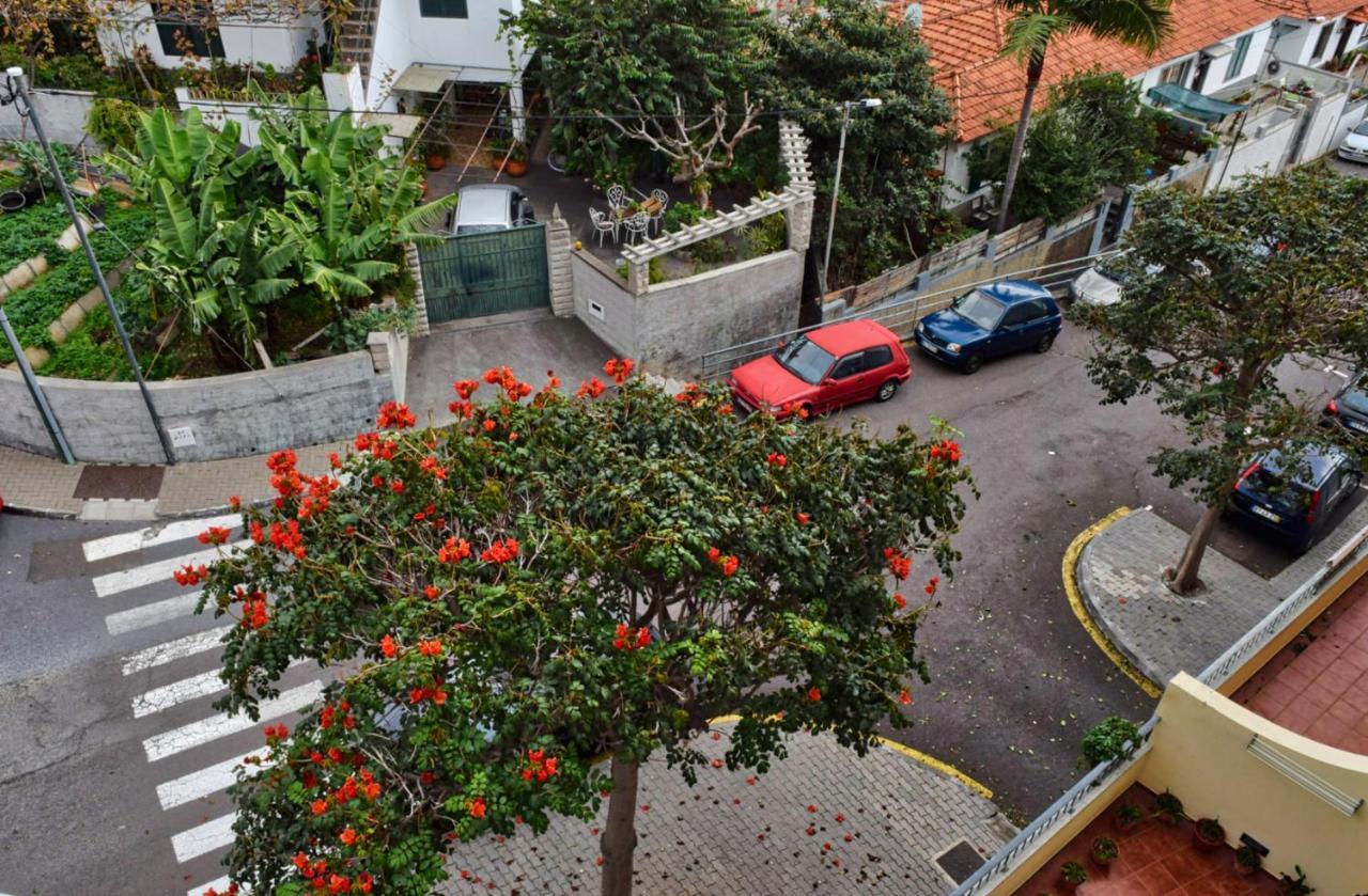 Perola, A Home In Madeira 푼샬 외부 사진